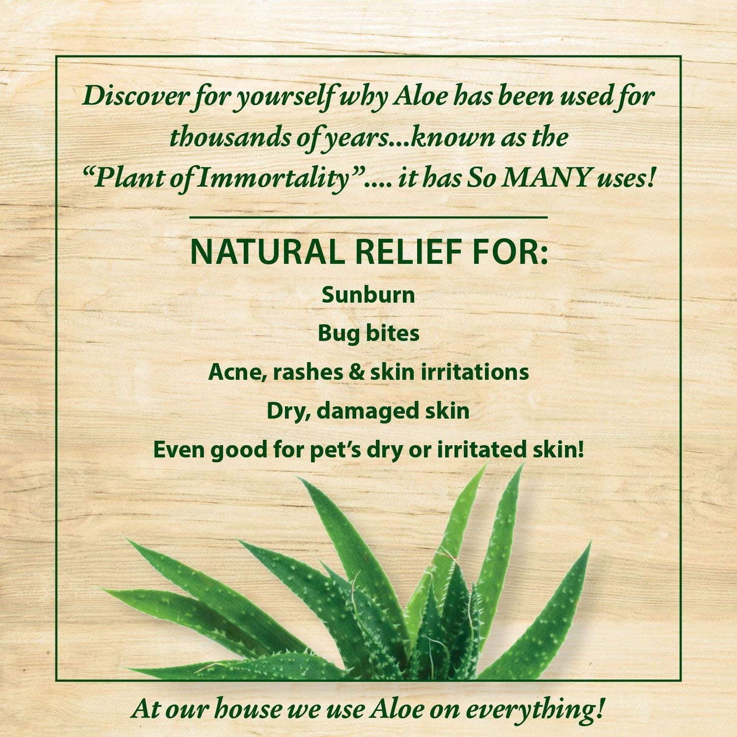 Indus Organics Aloe Vera Gel for Skin and Hair 250 ml | Hydrating, Moisturizing, Soothing Skin | Multipurpose Gel |