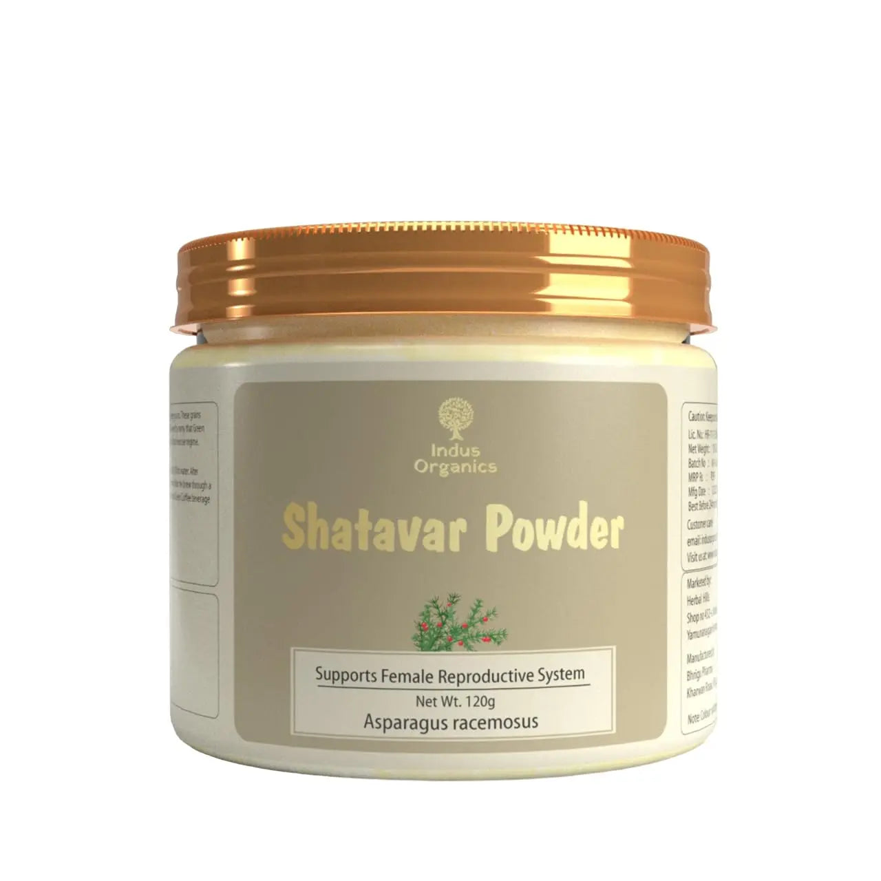 Shatavari Powder | Promotes Breast Milk Production | for Rejuvenative Vata and Pitta Indus Organics