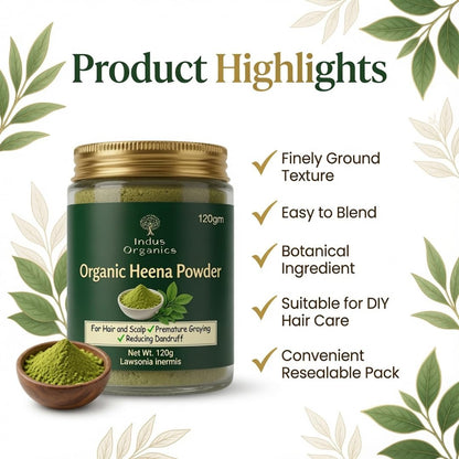 Indus Organics Heena/Henna Powder for Hair 120 gm | Mehndi | Fights Premature Greying & Long Lasting Henna | Natural Hair Dye |