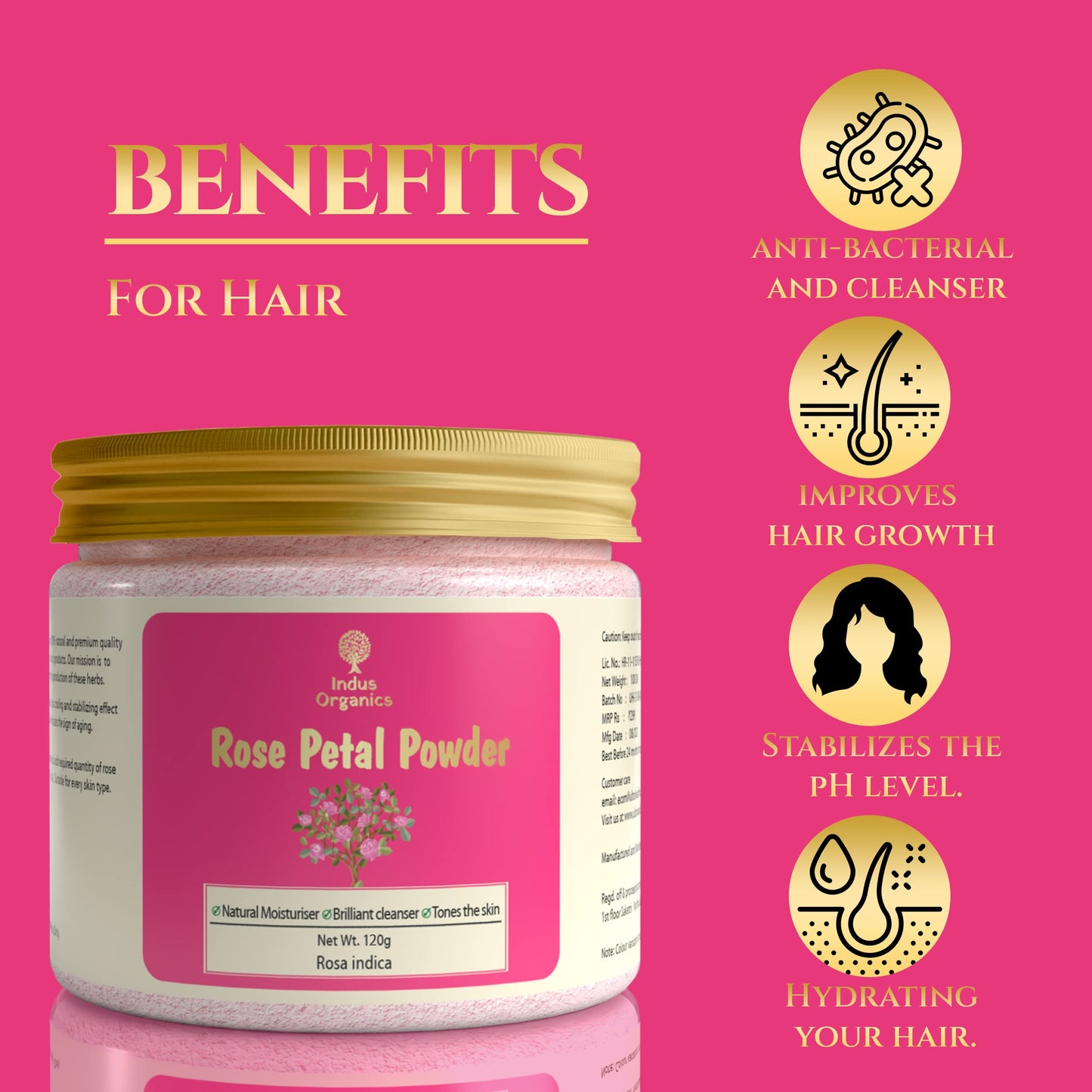 Indus Organics Rose Petal Powder for | Skin glow | Tan removal | Hair mask | fairness and shiny skin | 120 gm|