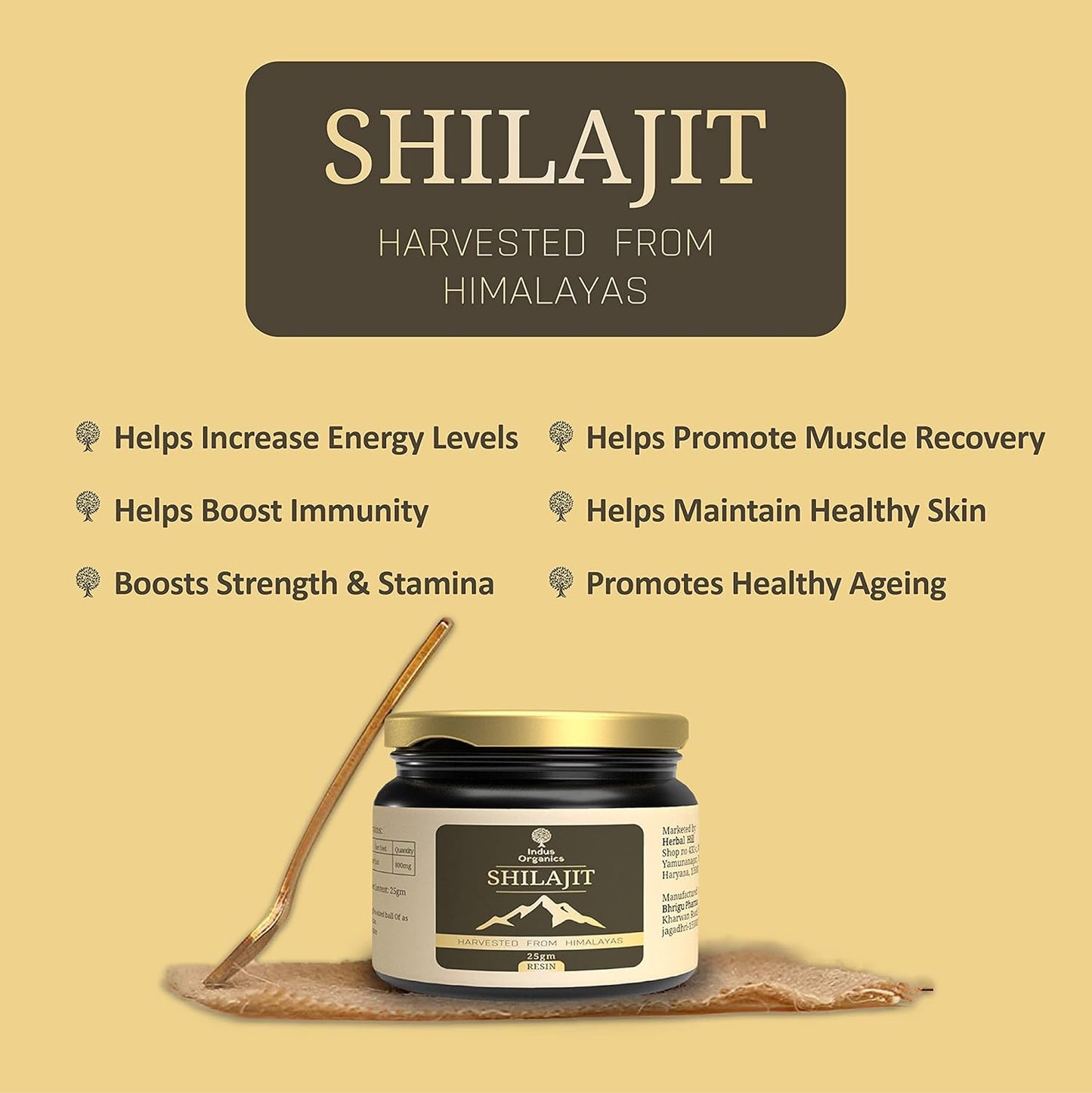 Indus Organics Pure Himalayan Original Shilajit/Shilajeet Resin (25gm) for Men and Women | Strength | Stamina | Focus | Vitality | Performance | Immunity Booster Supplement | Certified |