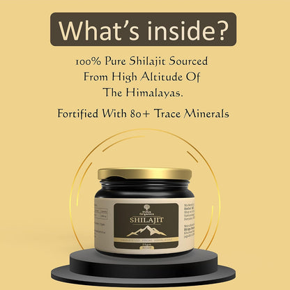 Indus Organics Pure Himalayan Original Shilajit/Shilajeet Resin (25gm) for Men and Women | Strength | Stamina | Focus | Vitality | Performance | Immunity Booster Supplement | Certified |